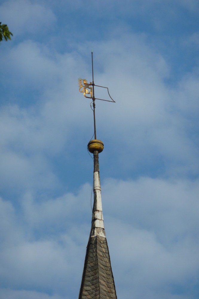 Turmspitze aus dunklem Metall mit einer Zeitkapsel aus leicht angelaufenem goldfarbenem Metall und einer Windfahne, auf deren windabgewandter Seite ein stilisierter Löwe wie auf einem Wappen eingearbeitet ist, der aus hell glänzendem goldfarbenem Metall besteht. Am unteren Ende des Bildes ist das spitze Turmdach zu erkennen, das zwei erkennbare (insgesamt wahrscheinlich sechs) Flächen hat und mit Schiefer eingedeckt ist. Der Übergang vom Schieferdach zur schwarzen Metallstange ist mit Bleiblech beschlagen. Oben am linken Bildrand ragen ein paar grüne Blätter ins Bild.